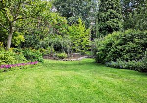Optimiser l'expérience du jardin à Pouy-Loubrin